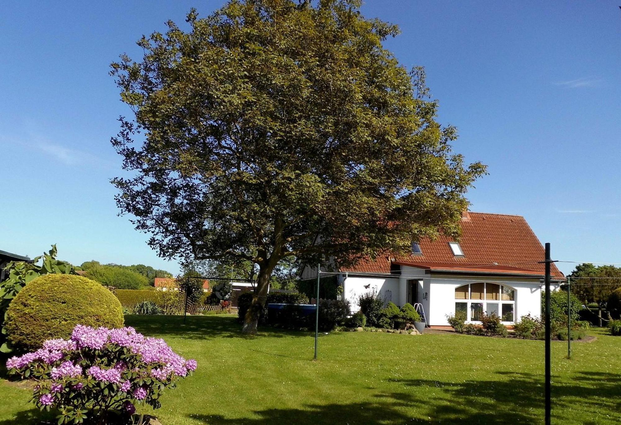 Bungalow Und Ferienwohnung Auf Ruegen Kluis Екстериор снимка